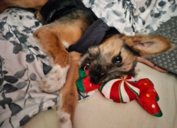 b7c61efc-d03d-44a7-a462-0510d8495b94