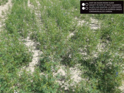 bdb3f668-c12a-47ac-9977-3383496f3a31