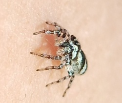 dfa2f49c-31da-4bf2-97d5-81254717303c