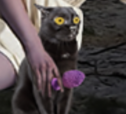 275776f4-db2f-489a-af45-5ade64a52046