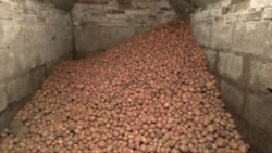 4fb1ff02-5d7b-474b-8326-6bf7b89c965c