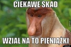 96d36daf-358b-48e7-a154-80bc6817d920