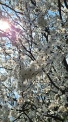 28f8f203-1bd4-4041-be02-a3a2f0bab0ae