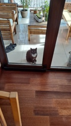 a980c4d0-4475-45b9-b632-3b0b40b3e462