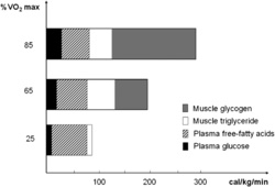 0e3218e2-ae8a-481d-b097-3d374a2d7303