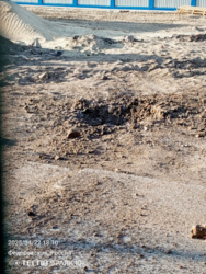 02618b51-7fc8-425d-aed2-1a7b57ac5ec0