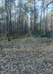 ff6691b0-066f-4a35-8cae-1d0ebe161c1b