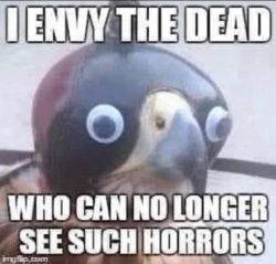 c40238ce-336e-40a0-9db7-d69a2d3508d4