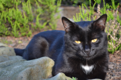 24ba01cf-2a42-4dc3-b777-e4629e03eebf