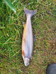 d3f73102-3cf2-49da-8b48-9283124410d9