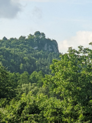 55f2a361-d51f-4a25-8268-3276e44cdf6c