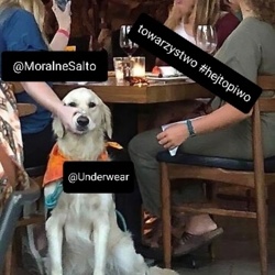 6839d3e5-5d88-44aa-9082-228e14006ae1