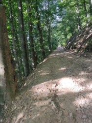 2b2b5829-a566-4d7b-a86e-1dc8abf20773