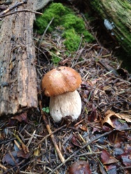 240d2ecd-0818-4438-9d45-f1b0fcc73bfc