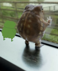 0959c7d9-e0e4-4c9b-b623-fc2d6aae2bb3