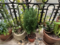 f367404d-1ac1-422f-a16a-c5092ce91006