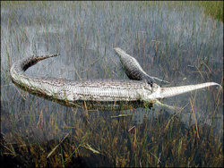 0983cc28-dc4e-4aa3-b509-312332a255ec