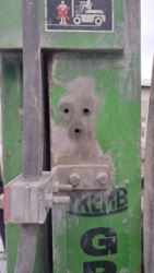 de44624f-b8b6-48c0-8dce-387af6fd288a