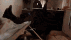 d0ed883c-da27-4b00-9694-748fa6792238