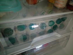 95f1643a-36f8-450a-9c27-cfaf4076d749