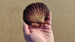 70077d39-32cf-4498-b0b8-7ab815d75ea3