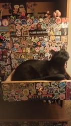 3cbe6303-79c8-4ca1-a3e6-1cbbf49a3de0