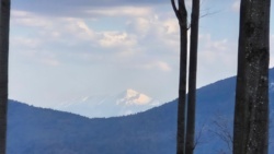 6ff3845d-eb72-4a64-86ba-078edce302ca