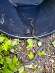 dc3ecb33-f60b-4d9b-8c7d-699de2842d35