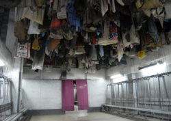 471105a5-f2d9-4de7-aa83-6b30065b5db7