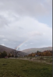 fac3ac3c-0ff7-4a20-9b3d-f6bbac889211