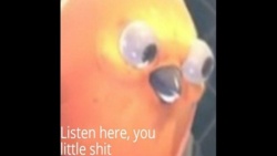 b97ea5de-aca3-46a1-96ec-e9b638fdb10c