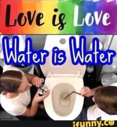 e34bd856-832e-4981-b106-9c88ba61364d