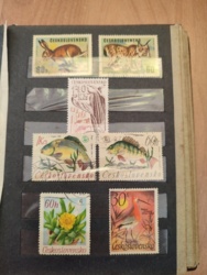 99db12f1-b03d-42a2-b97d-f0817f1f46f4