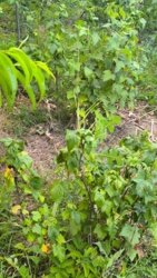 99a8ee7f-3f80-447e-a6b2-9810e07fd41d