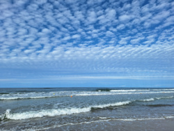 a0d7d5b3-96b8-46ca-8038-a66ea0a9e472