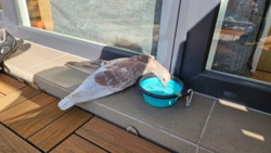 663752f4-7659-464e-a8fc-17ba33e03b12