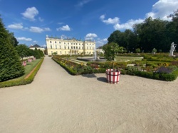 859c8e48-e127-41be-ae65-4d45d5d9280d