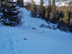 7e3178da-642f-41bb-99cf-77242931f85e