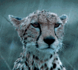 176b7b45-4d67-47ea-90de-42ef670e5be1