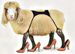 d0da9bf9-1c4a-447f-ad84-f09e8f8ef961