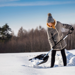 73cb1ad6-ee9a-4148-b60e-62888694e1ca