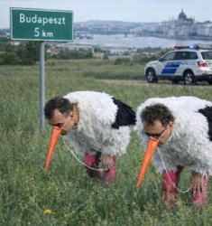 4ea8eb49-caae-45fb-9800-7675d09bb0e5