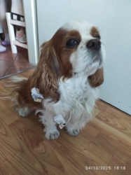 f71b7f22-9453-4653-ab90-ee87d9dc6827