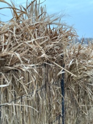 1288e330-102a-40b2-8929-402bd9e64282