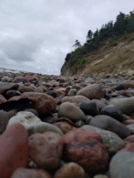 37f80eb1-9d5d-41eb-a3ea-c2969881012f