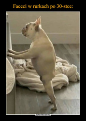 7217cec4-5dad-4fde-95c4-faf46f6d8252