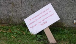 11a1b9e7-777c-4254-aa90-6a9504ca20fc