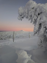 4eb170c2-b1ac-4f96-849f-093084d29b23