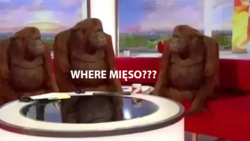 59f8c445-877b-4ce0-beee-fd33d72b7051