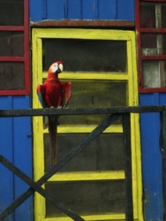 7d895d4e-4a4d-43c7-b7ca-6bcb69925c46